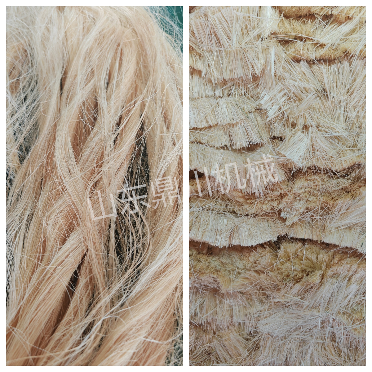 植物纤维丝短切效果
