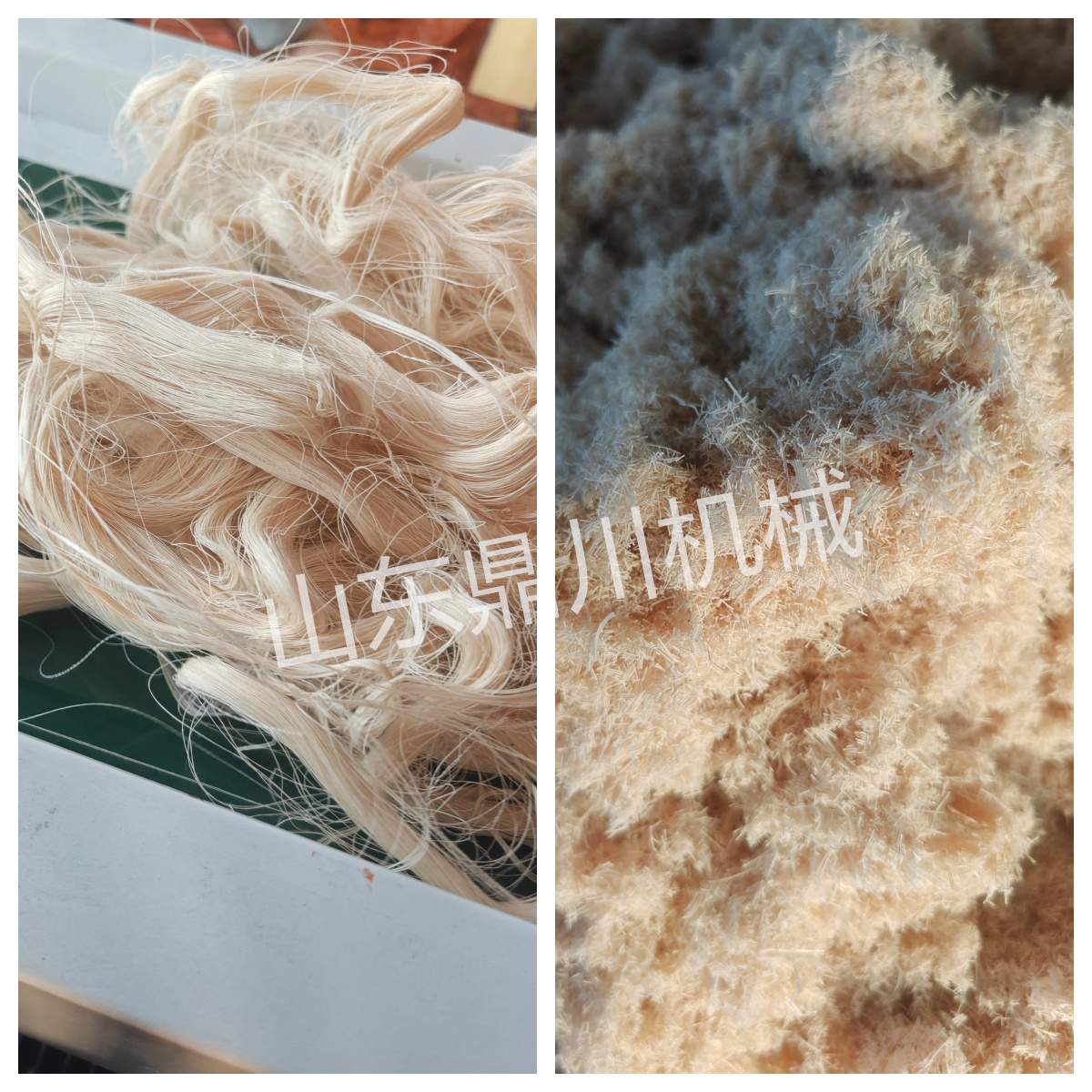 浆丝纤维切碎效果