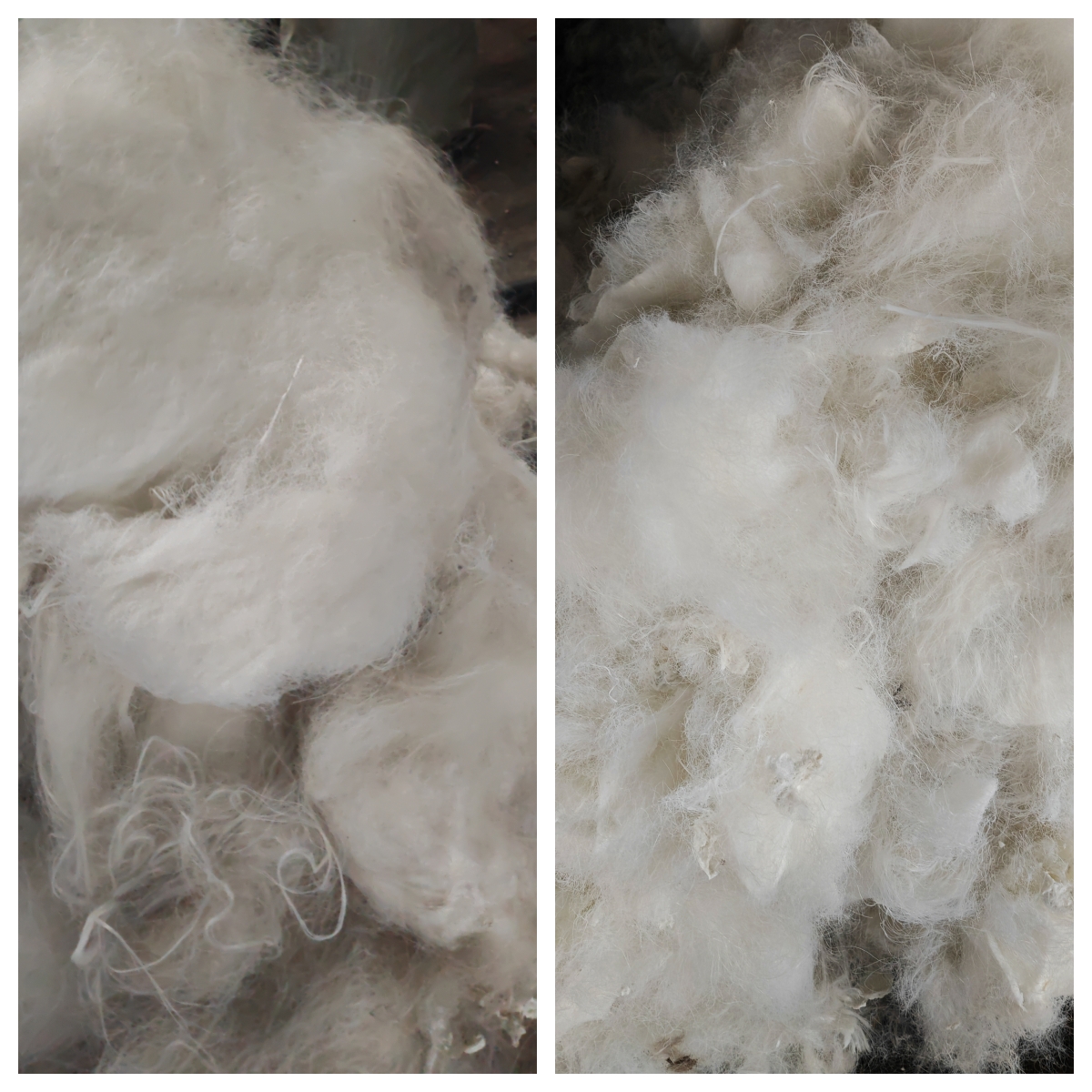 化纤废块剪切效果