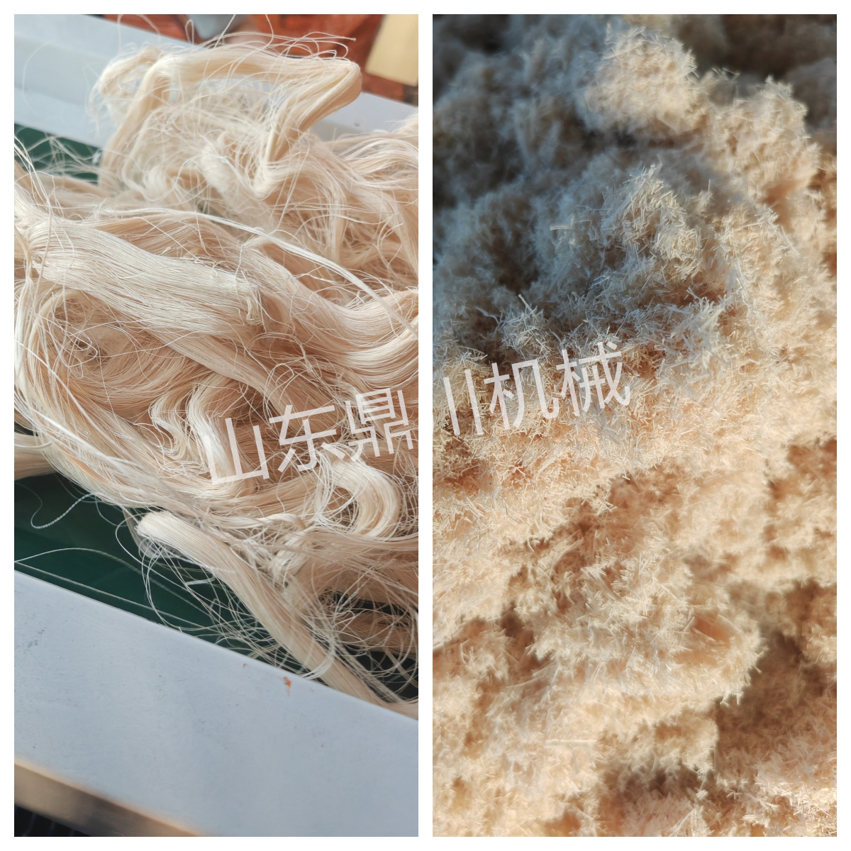 棉纤维废丝粉碎效果