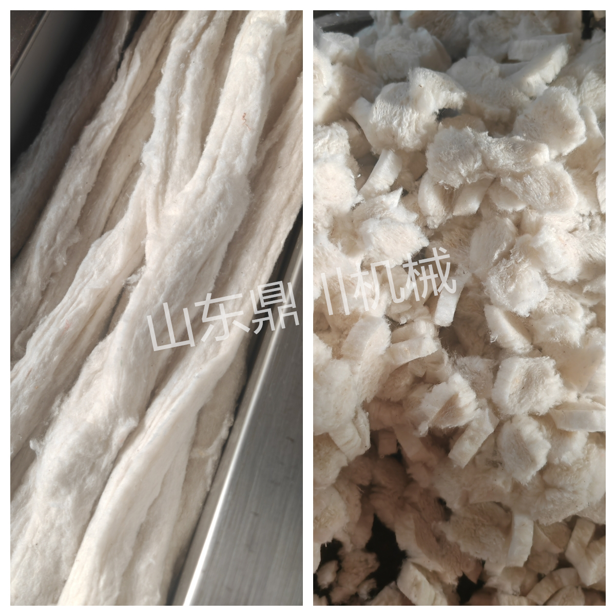 棉纤维长条切段效果