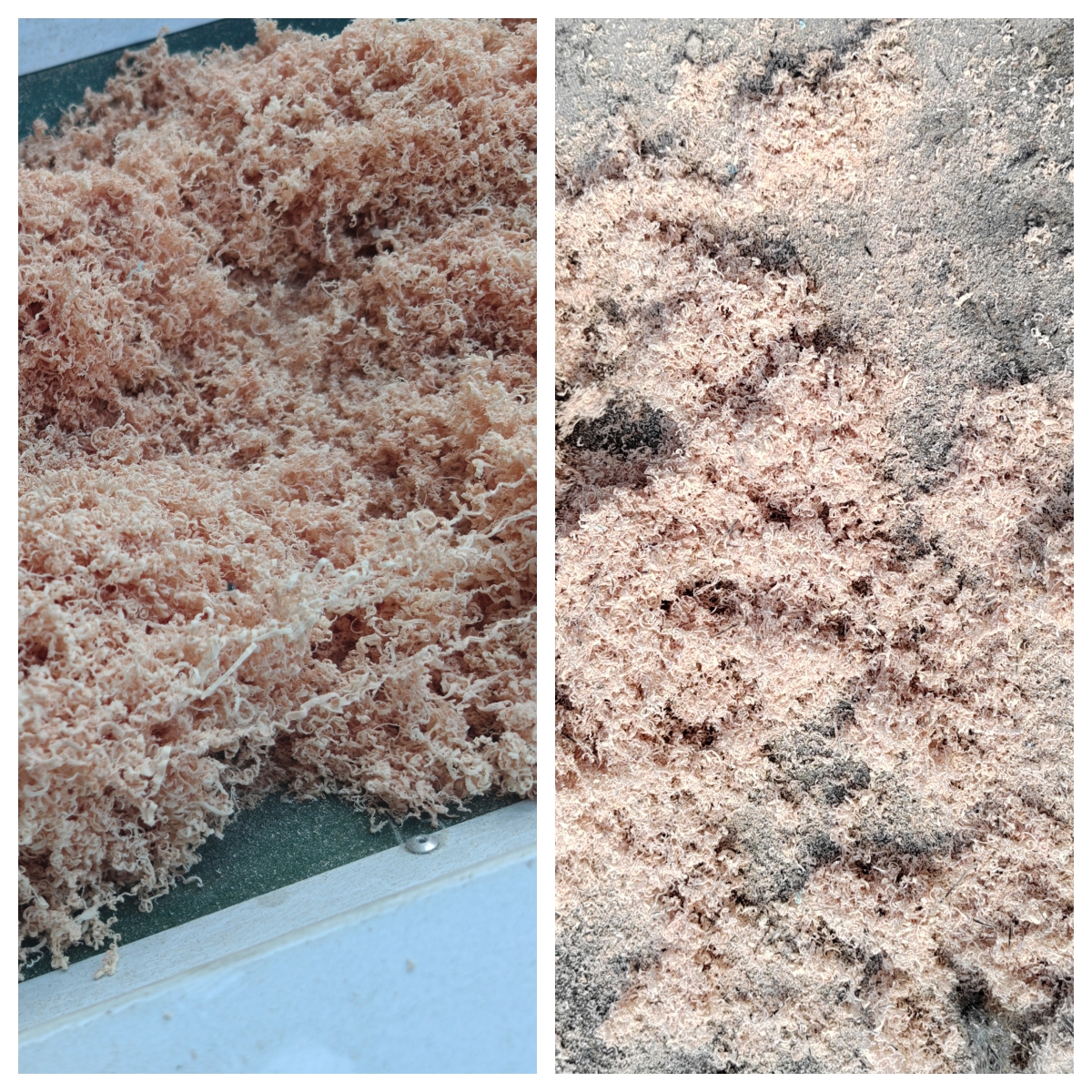 棉纤维粉碎效果