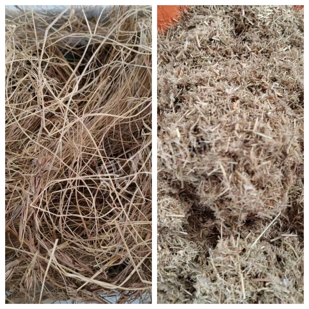 干草切断效果对比