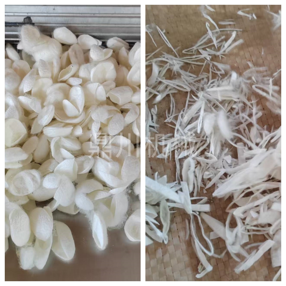蚕茧壳切丝对比